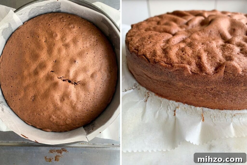 Classic Sacher Torte Recipe: Authentic Austrian Chocolate Cake 8 Soft chocolate sponge filled and covered with apricot jam plus a crackly chocolate glaze