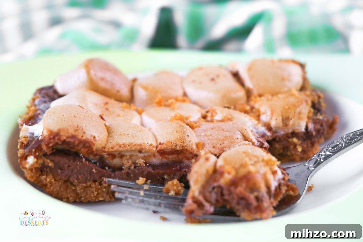 S'mores Bars Recipe: Gooey Chocolate and Graham Cracker Squares 4 Close up image of a smores cookie bar on a plate