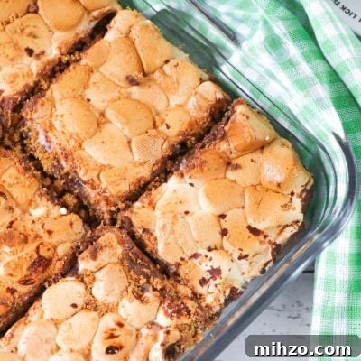Close up image of smores bars in a baking pan