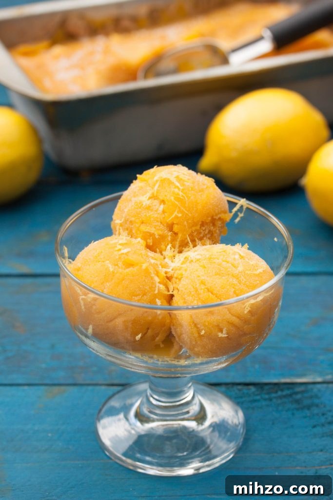Sugar-Free Mango Sorbet: Fresh, Creamy Homemade Recipe 2 mango sorbet