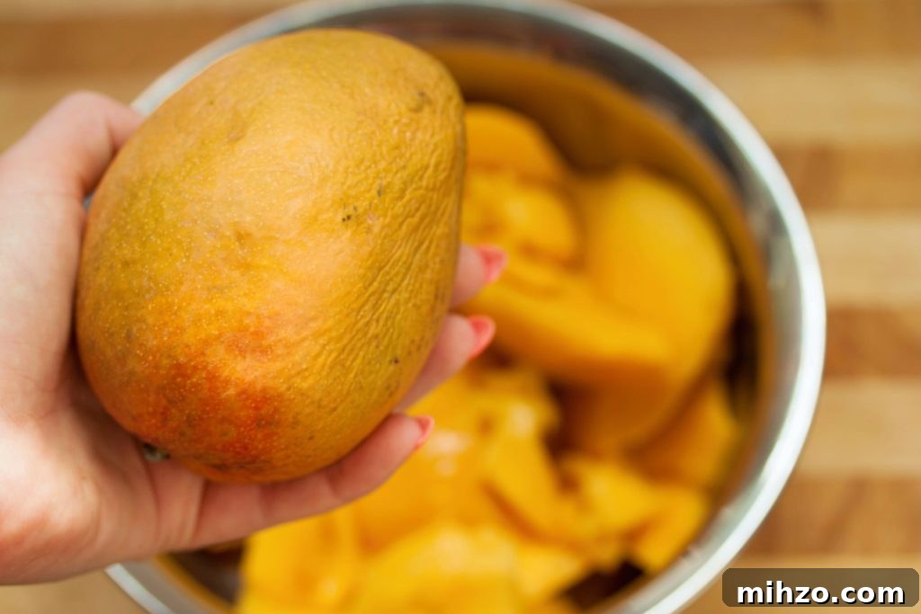 Sugar-Free Mango Sorbet: Fresh, Creamy Homemade Recipe 3 mango sorbet