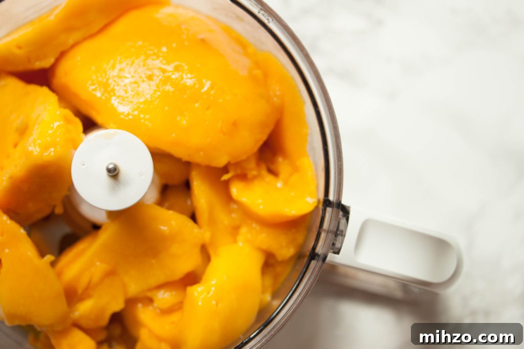 Sugar-Free Mango Sorbet: Fresh, Creamy Homemade Recipe 4 Mango Sorbet Without Added Sugar