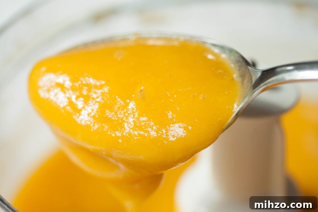 Sugar-Free Mango Sorbet: Fresh, Creamy Homemade Recipe 5 mango sorbetgggg (1 of 1)-2