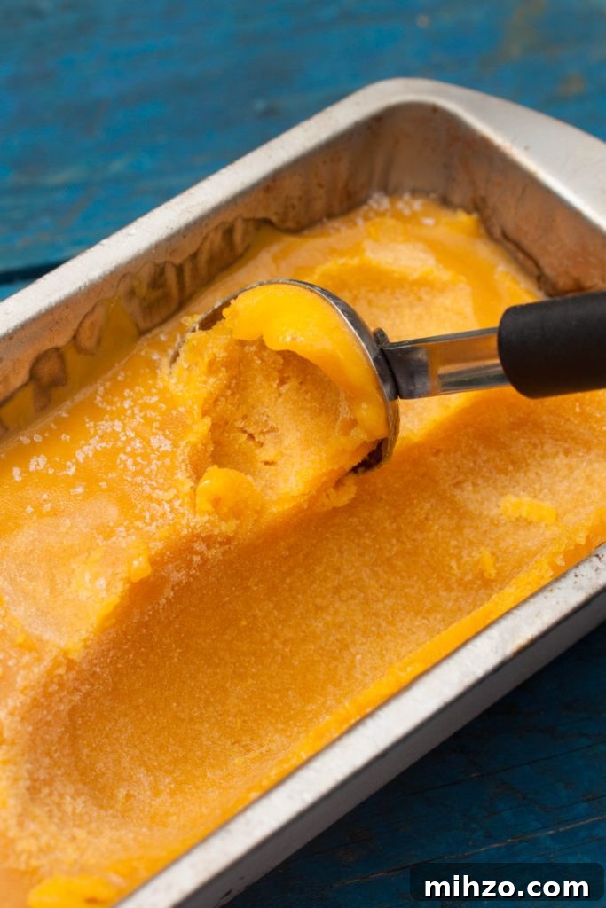 Sugar-Free Mango Sorbet: Fresh, Creamy Homemade Recipe 6 mango sorbet without added sugar
