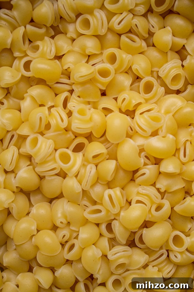 Creamy Rigatoni alla Carbonara Recipe for Authentic Flavor 7 Pasta