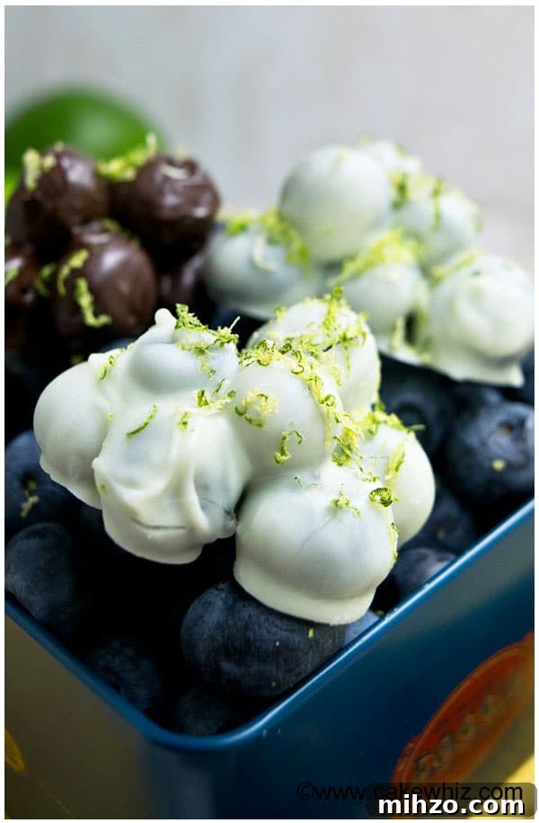 Chocolate-Covered Blueberries: Simple Recipe for a Decadent Treat 2 Easy Chocolate Covered Blueberries (Healthy Snack)