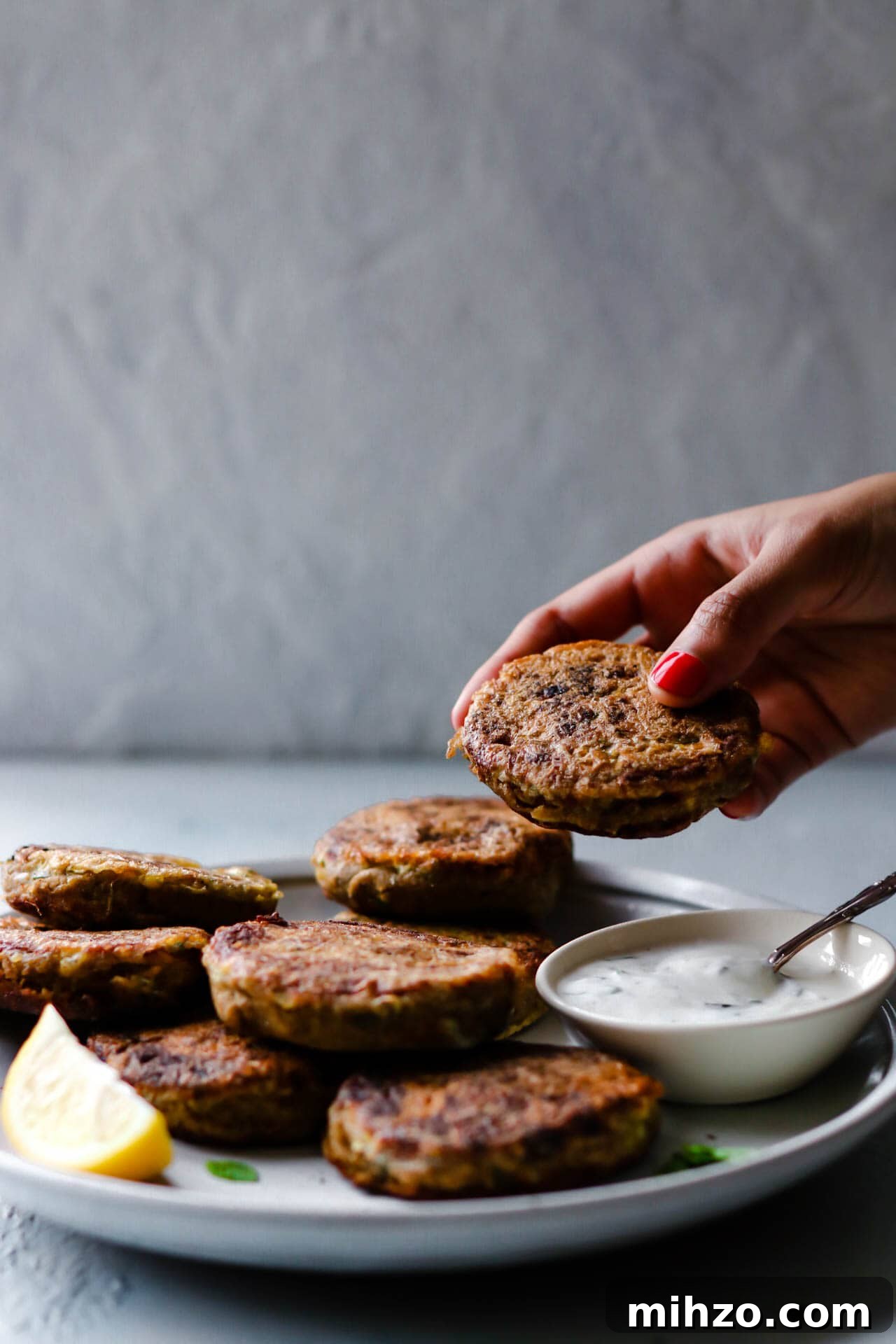 shami kebab in hand