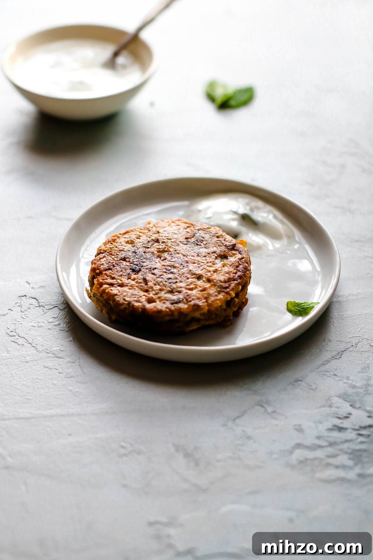 shami kebab with raita