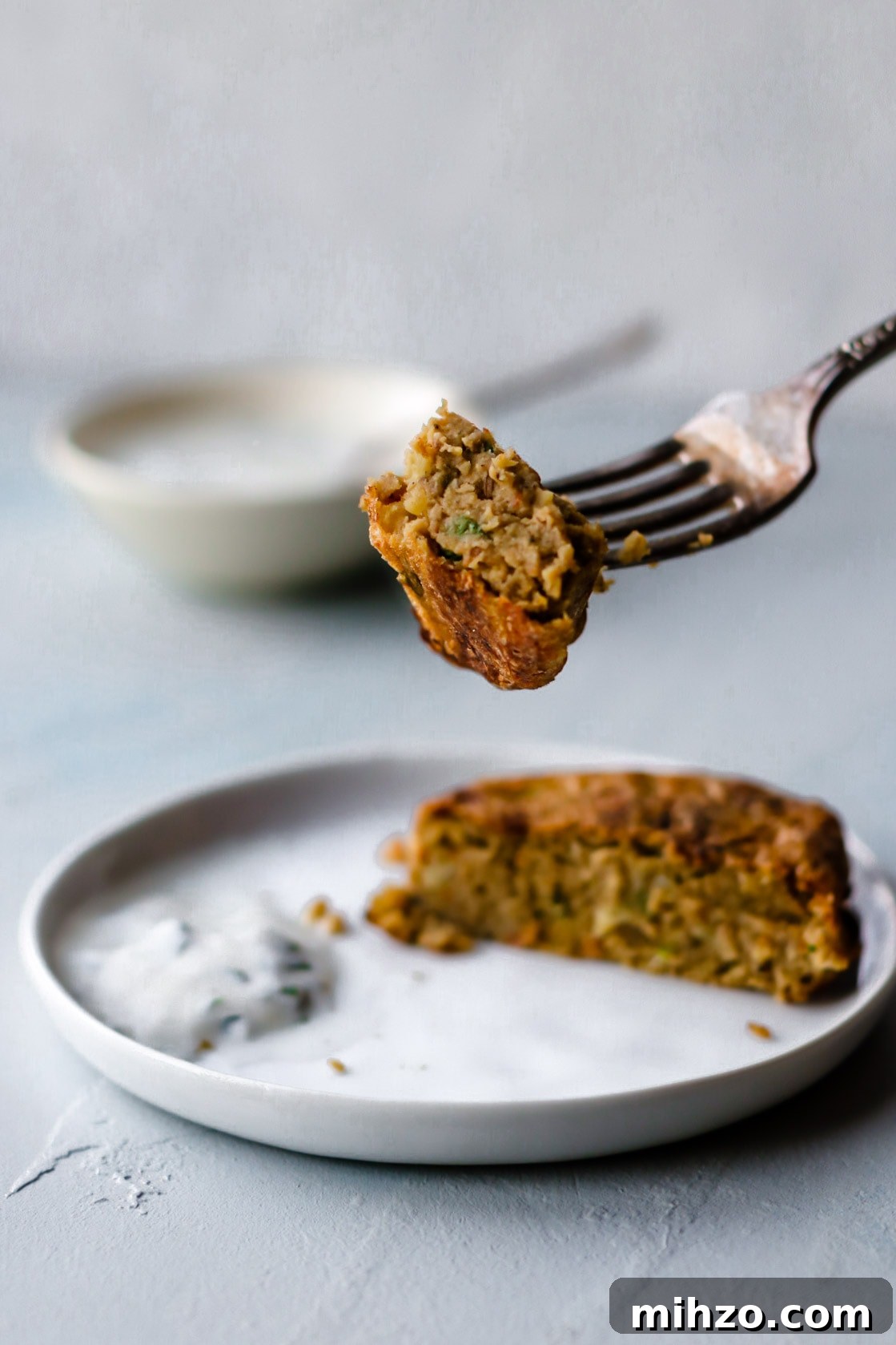 shami kebab on fork