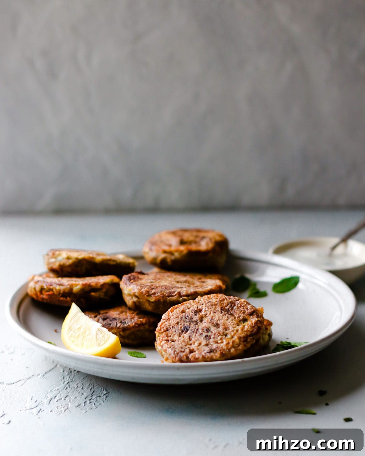 shami kebab on a plate