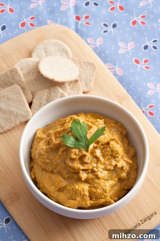 Roasted Pumpkin Dip for a Low-FODMAP Diet 2 img 36190 2
