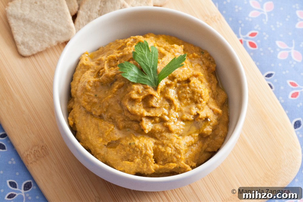 Roasted Pumpkin Dip for a Low-FODMAP Diet 3 img 36190 3