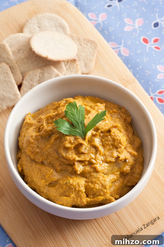 Roasted Pumpkin Dip for a Low-FODMAP Diet 4 img 36190 4