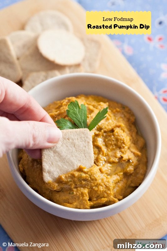 Roasted Pumpkin Dip for a Low-FODMAP Diet 9 Low Fodmap Roasted Pumpkin Dip