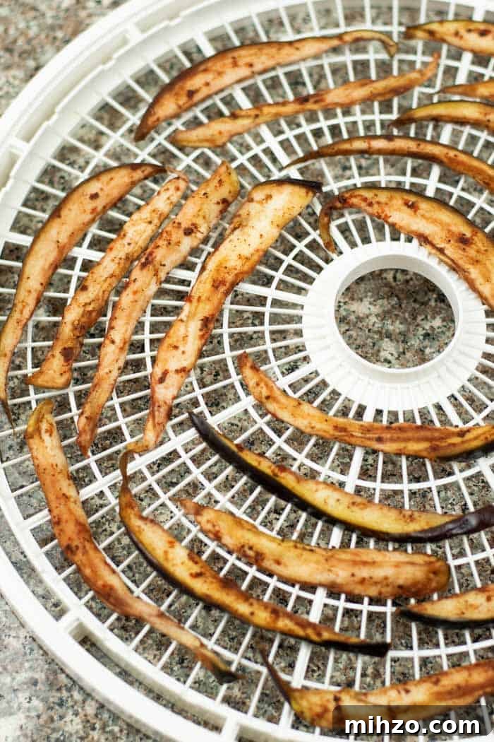 Eggplant slices on dehydrator trays