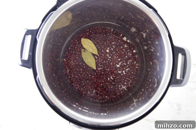 Dry adzuki beans in an instant pot with water and bay leaves.