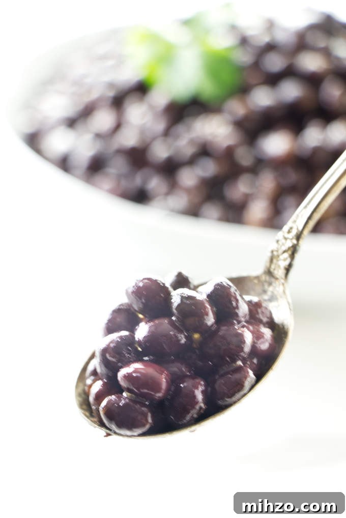 A spoonful of adzuki beans.