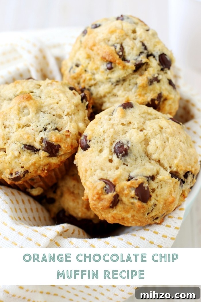 Orange Chocolate Chip Muffins Recipe — Zesty, Moist & Irresistible 2 a basket of orange chocolate chip muffins