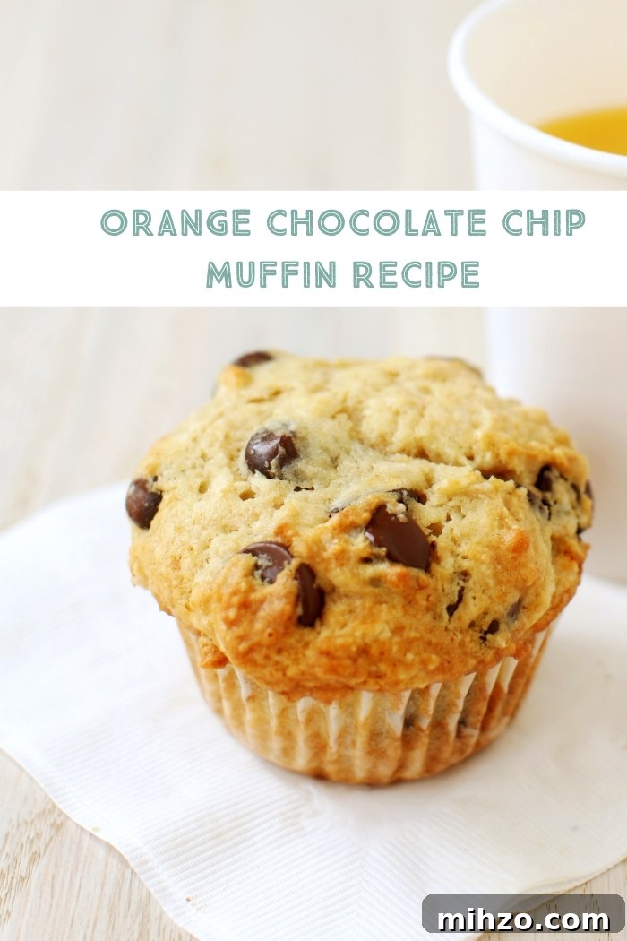 Orange Chocolate Chip Muffins Recipe — Zesty, Moist & Irresistible 3 orange chocolate chip muffin on a napkin with a glass of orange juice