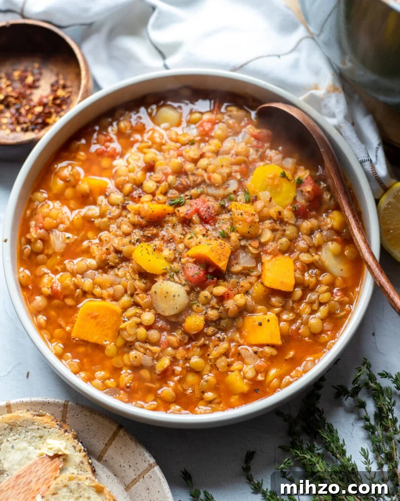 65 Plant-Based Recipes to Try for Veganuary and Year-Round Meals 13 The Best Lentil Soup