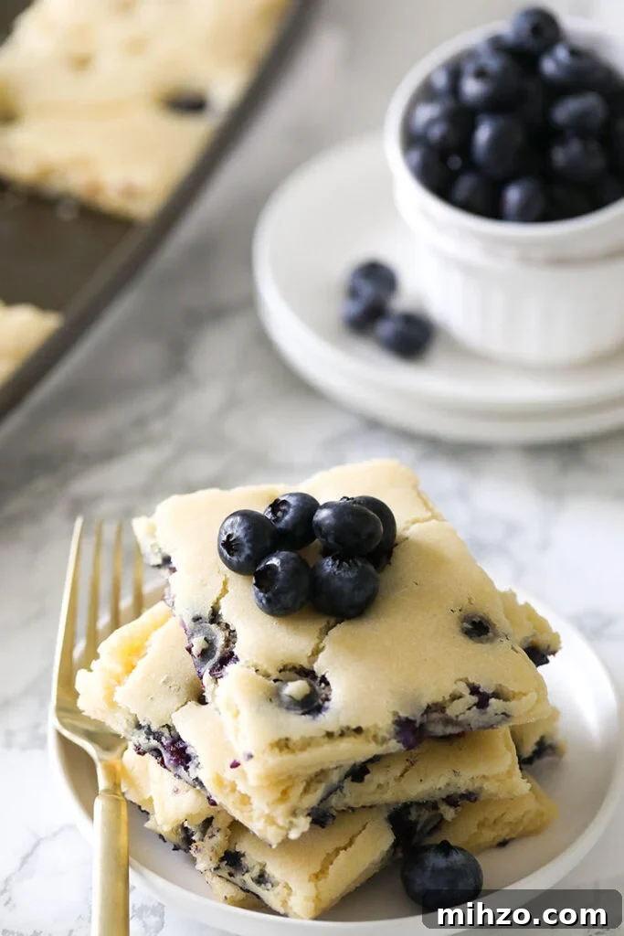 65 Plant-Based Recipes to Try for Veganuary and Year-Round Meals 56 Vegan Blueberry Sheet Pan Pancakes