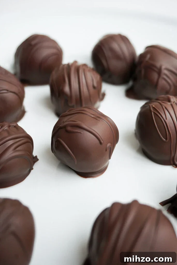 65 Plant-Based Recipes to Try for Veganuary and Year-Round Meals 64 Brownie Batter Truffles