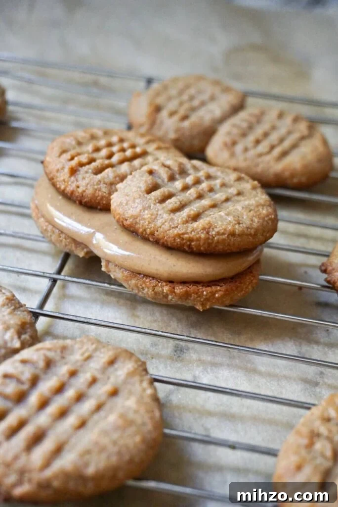 65 Plant-Based Recipes to Try for Veganuary and Year-Round Meals 65 Homemade Nutter Butter cookies