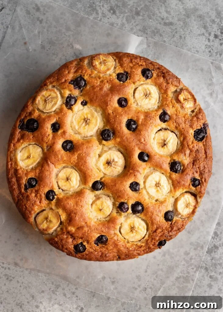 65 Plant-Based Recipes to Try for Veganuary and Year-Round Meals 66 best vegnauary recipes