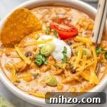 Slow Cooker Creamy Ham and Potato Soup Recipe 7 Chicken Enchilada Soup