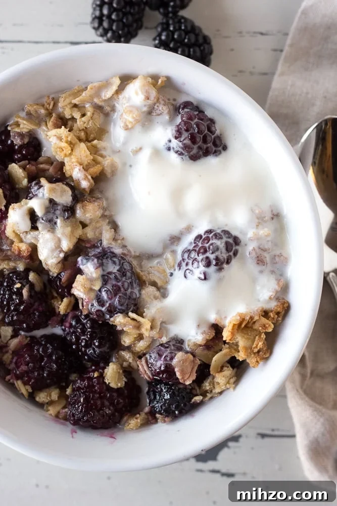 Blackberry crisp in a bowl with melted vanilla ice cream.