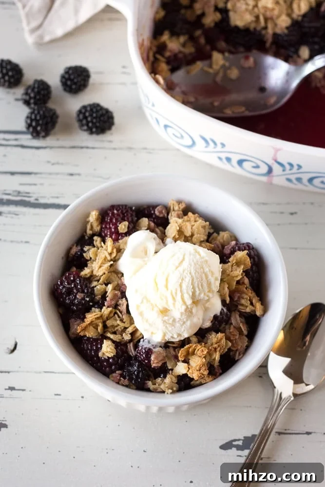 A bowl of blackberry crisp with vanilla ice cream next to a baking dish.