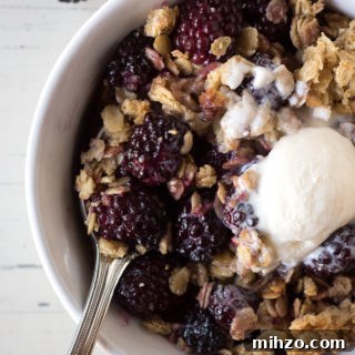 blackberry crisp in a bowl with a spoon