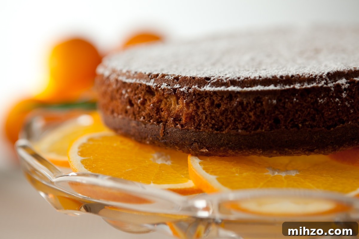 Gluten-Free Almond Orange Cake Recipe: Moist Citrus Loaf 3 orange almond cake side view