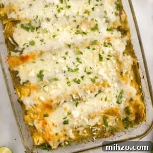 Green Chicken Enchiladas in a 9x13 casserole dish.