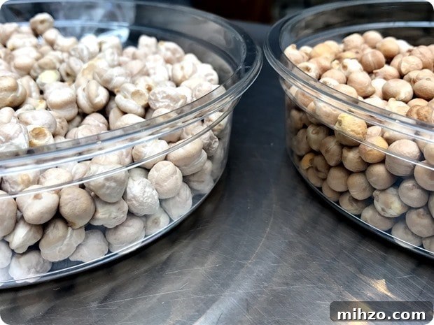 chickpea varieties chickpea varieties