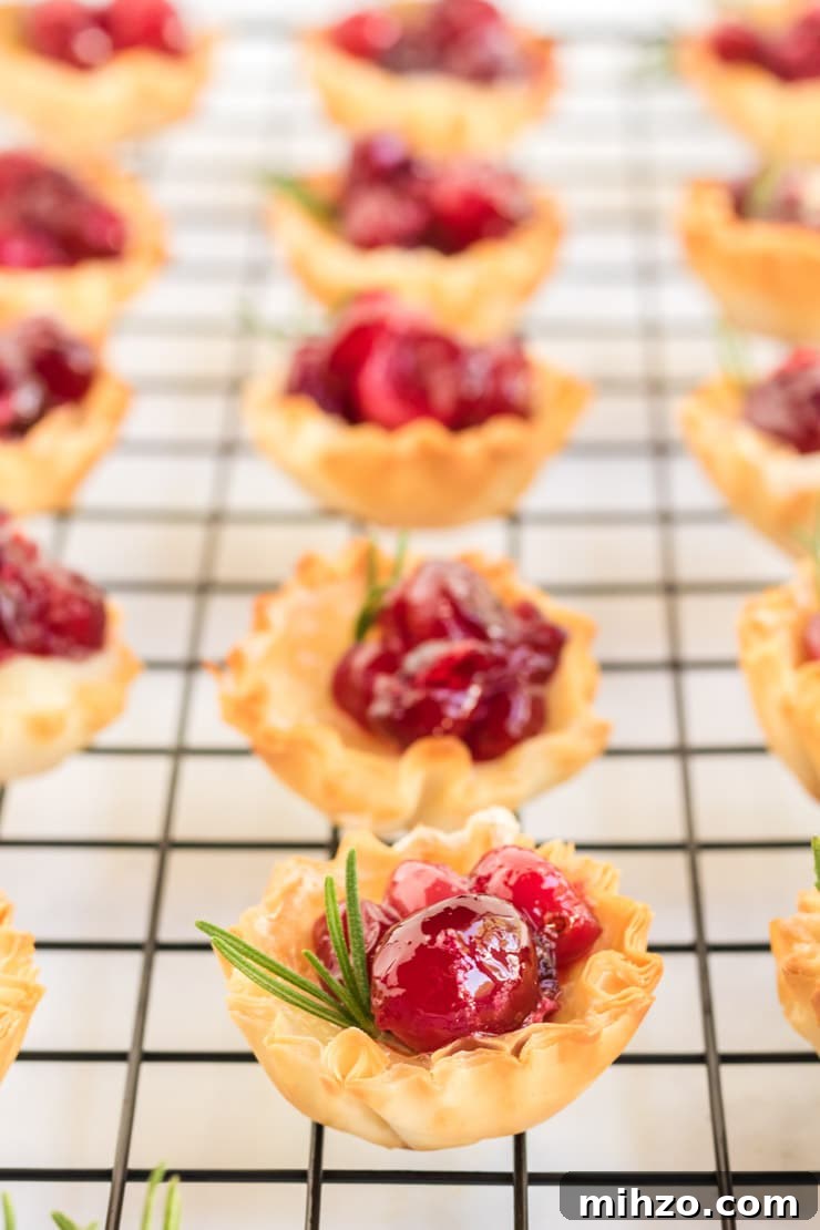 Cranberry Brie Bites: A picture of a phyllo shell filled with brie and cranberries garnished with a sprig of rosemary. 