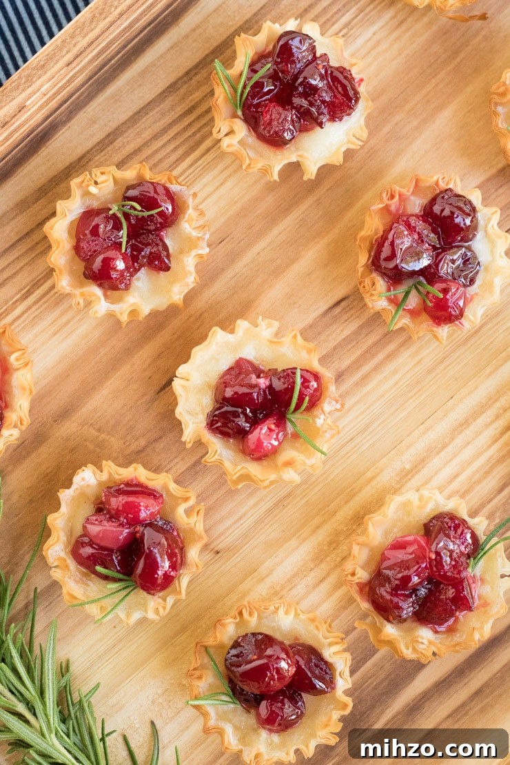 Cranberry Brie Bites: A picture of a phyllo shell filled with brie and cranberries garnished with a sprig of rosemary. 