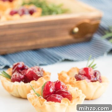 Cranberry Brie Bites- picture of phyllo dough cups filled with brie and cranberries