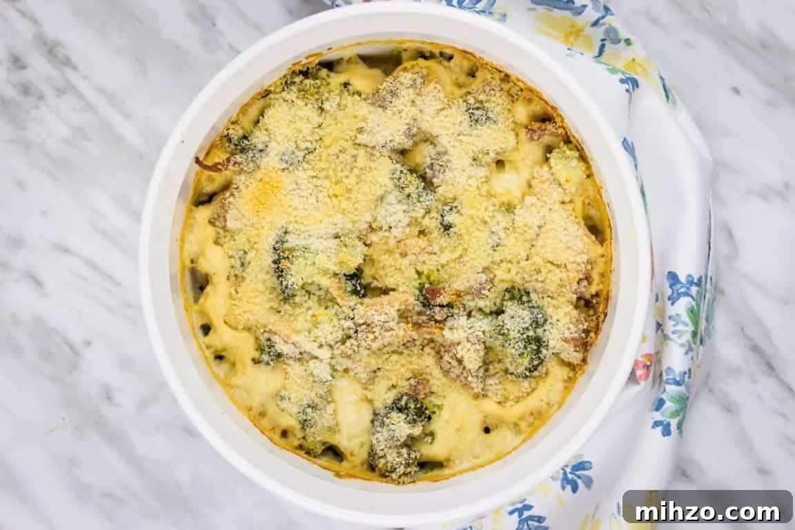 Cubano Sandwich Casserole and 12 Hearty Family Casseroles 7 A casserole dish with broccoli and turkey.