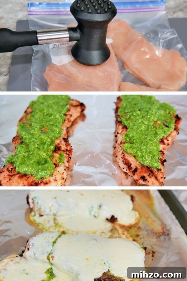 grilled chicken with bruschetta