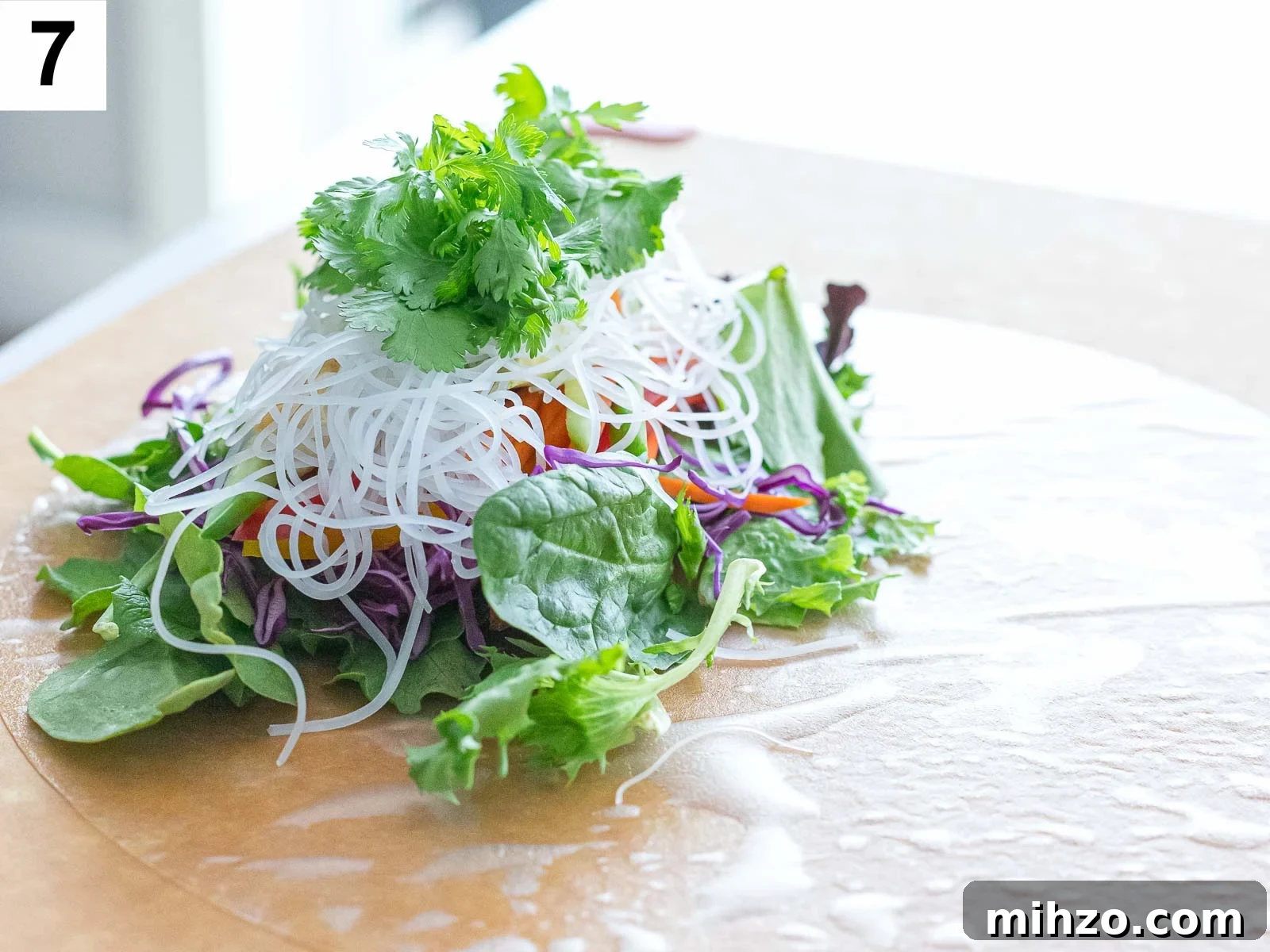 Summer rolls with rice noodles, salad greens, and red cabagge on a rice paper wrapper