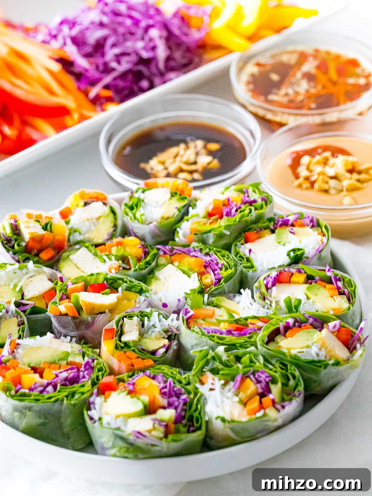 fresh spring rolls (goi cuon) with peanut sauce, hoisin sauce, and nuoc cham