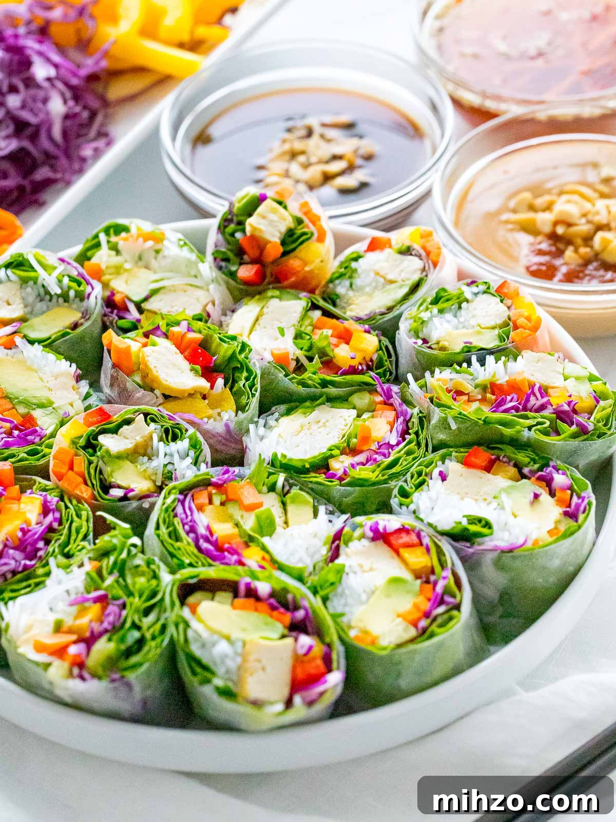 Vietnamese vegetarian summer rolls, goi cuon, with rainbow veggies, peanut sauce and hoisin sauce