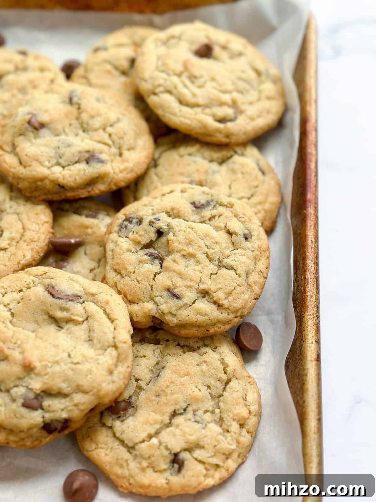 a close up of chocolate chip coconut cookies in a baking pan.