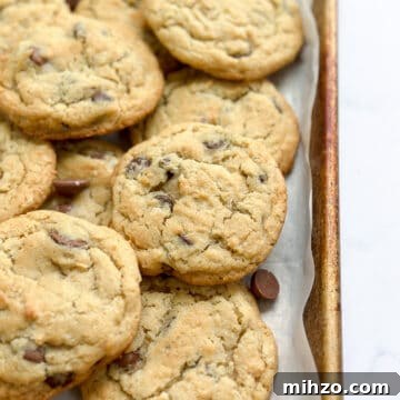 a close up of chocolate chip coconut cookies in a baking pan.