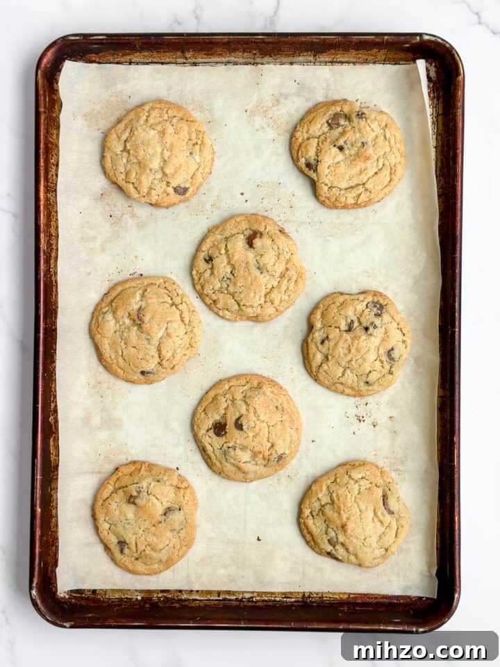 cookies on the cookie sheet right after baking.
