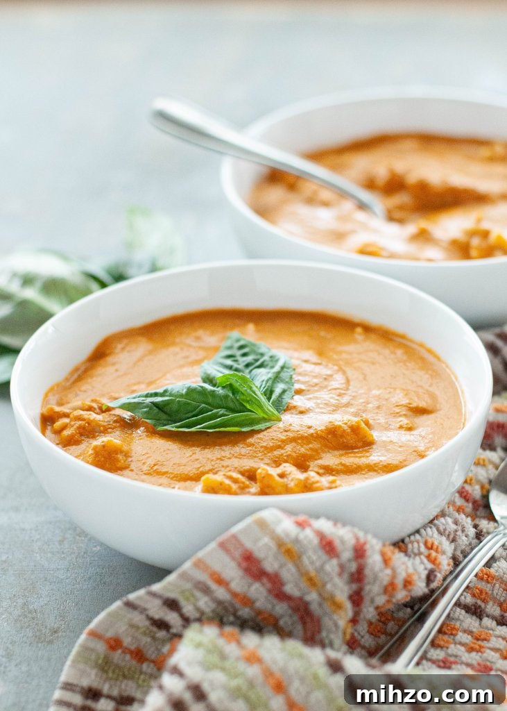 Creamy Dairy-Free Tomato Basil Soup (Vegan + Recipe Video) 4 dairy-free-tomato-basil-soup-recipe