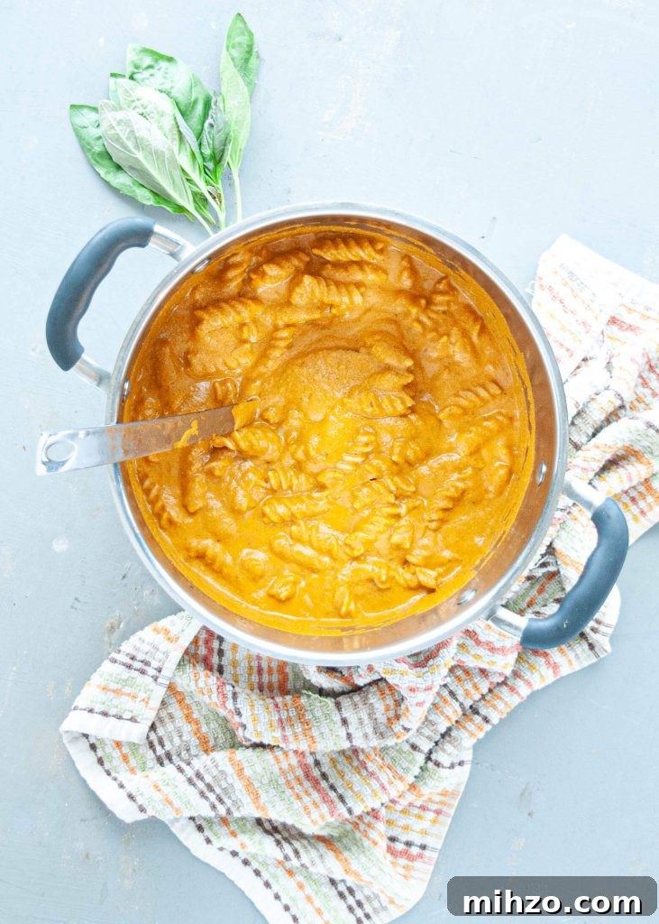 Creamy Dairy-Free Tomato Basil Soup (Vegan + Recipe Video) 5 how-to-make-dairy-free-tomato-basil-soup