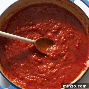 Authentic San Marzano Tomato Sauce Recipe for Rich Flavor 7 Homemade tomato sauce in a blue pan with a wooden spoon.