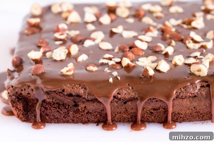 Ferrero Rocher Brownies with Silky Milk Chocolate Ganache 3 These Ferrero Rocher Brownies are the ultimate treat to go with your afternoon cup of coffee!